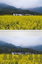 糖心app版本过期-糖心APP版本过期的背后故事与应对之道