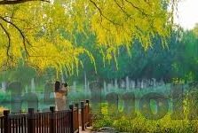 糖心app账号共享-维护网络环境 警惕糖心app账号共享带来的风险