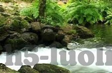 糖心交友官网-探索糖心交友官网，现代社交的别样路径