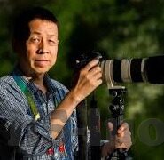最近免费中文字幕大全免费版视频-探索中文影视新境界，免费中文字幕大全视频的近期盛宴
